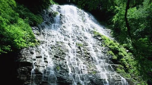 先进先进高端